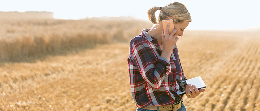Woman reviewing cash advance online web account in farm field