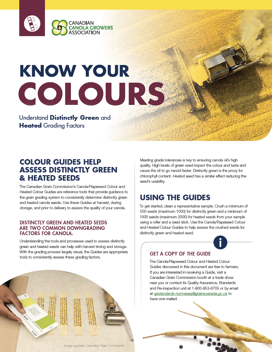 CCGA-Know-Your-Colour.png